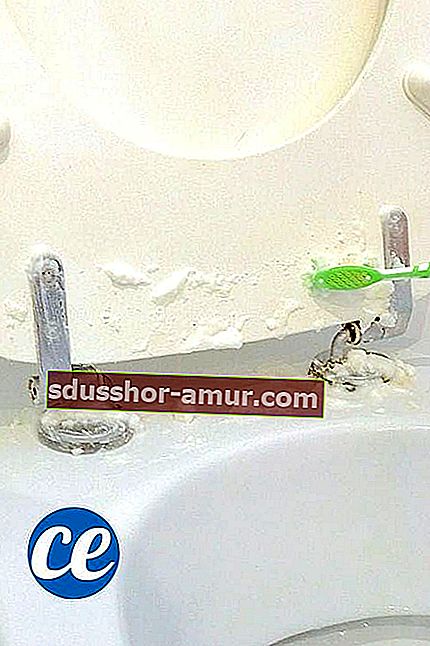 Trik na odstránenie nepríjemného zápachu na toalete pomocou sódy bikarbóny a citrónovej pasty