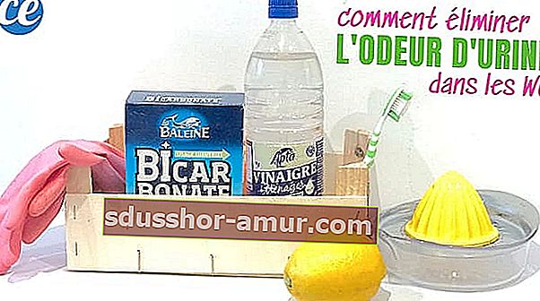 Пакетик пищевой соды, бутылка белого уксуса, лимон и зубная щетка, чтобы избавиться от запаха мочи в туалете.