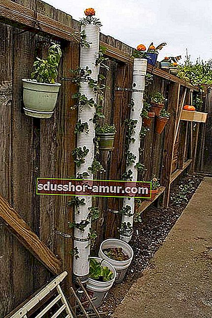 pvc-pipe-to-grow-vertical-cutter
