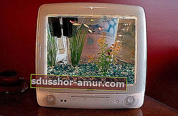 телевизионният екран се превръща в аквариум