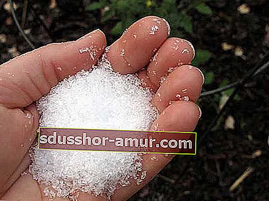 посыпать солью, чтобы отпугнуть муравьев