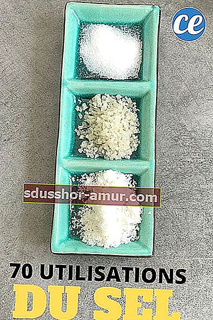Gruba sol, kuhinjska sol i dobra rafinirana sol