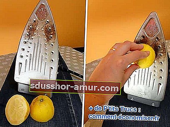 očistite glačalo limunom
