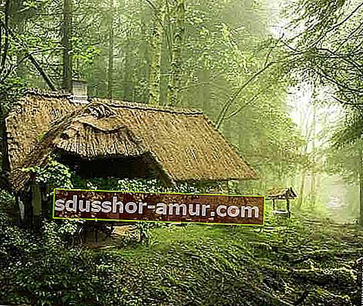 čarobna i iznenađujuća kuća usred šume