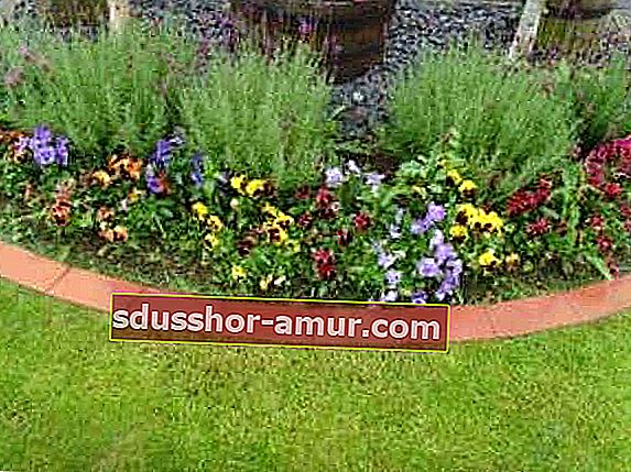 Jednostavna i jeftina ideja za izradu vrtnog obruba je uporaba terakote. 