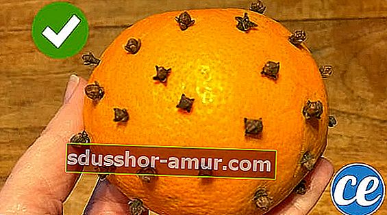 O portocală cu cuișoare pentru a îndepărta molii de îmbrăcăminte