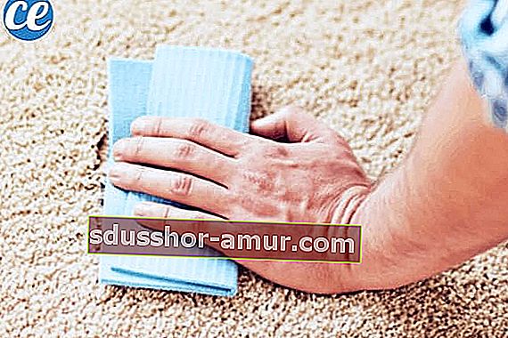 как да почистите килим с мазно петно