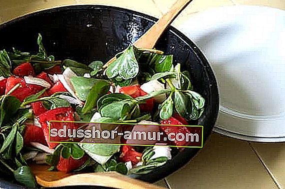 salata od purslane u zdjeli za početak