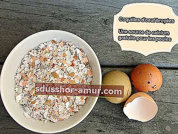 zdrobljene ljuske jaja za kalcij od kokoši