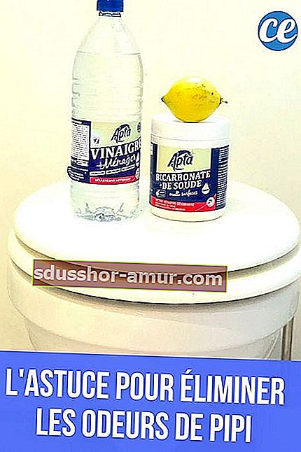 Бял оцет, сода за хляб и лимон, поставени върху тоалетната, за да елиминират миризмите на пикнята