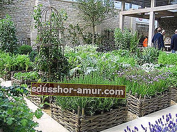 зеленчукова градина, създадена с плетени кошници