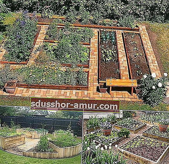 как да организирате вашата зеленчукова градина с тухлени пътеки