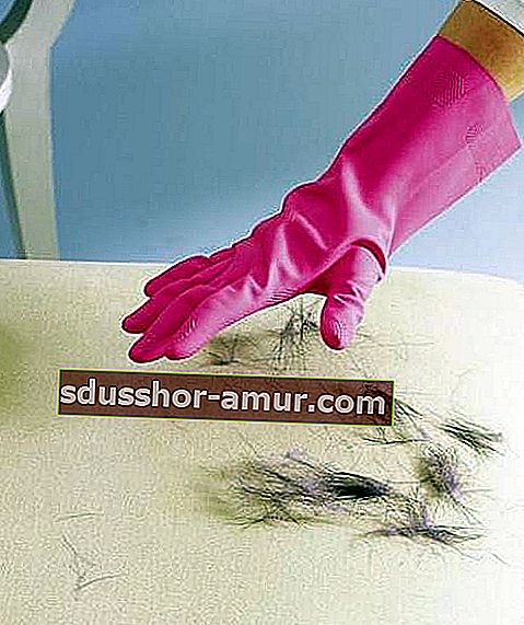 kako odstraniti živalsko dlako na kavču