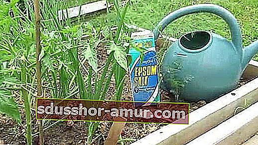 sebze bahçesi için tuzlu epsom gübre