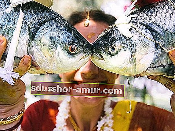 Две рыбы целуются в Индии