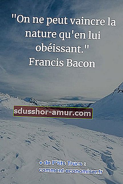 цитат от Франсис Бейкън за силата на природата