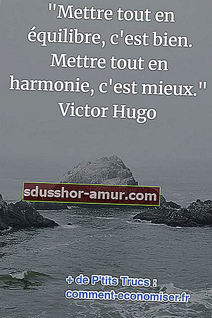 victor hugo citat o harmoniji i životnoj ravnoteži