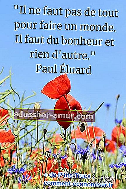 Пол Елюар цитат за щастие