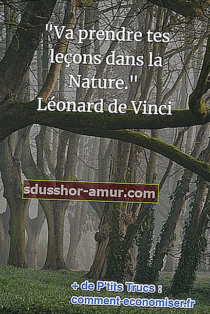 Леонардо да Винчи цитат за природата