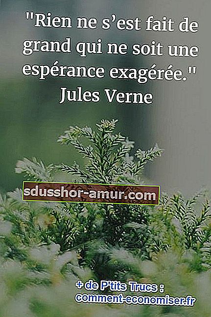 citat Julesa Vernea