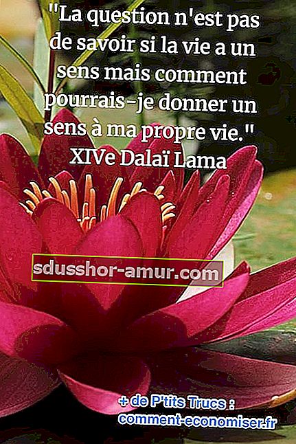 dalai lama citat o smislu života