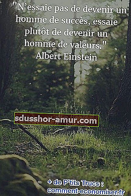Einstein citira o čovjekovim vrijednostima