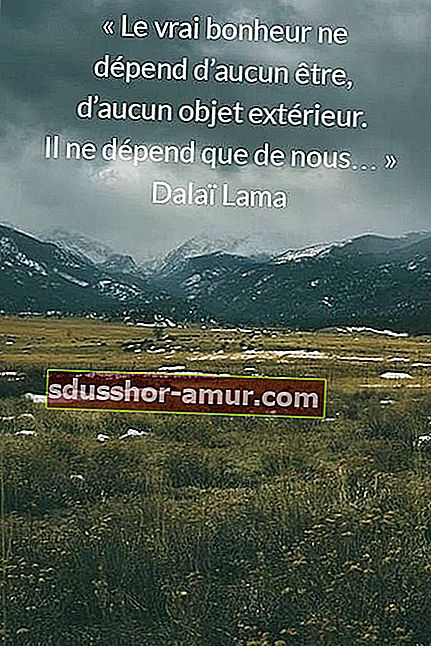 dalai lama sreća citat