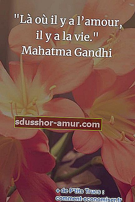 цитат на Ганди за живота и любовта