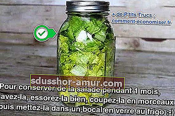 zelena salata u staklenci da dulje ostane svježa