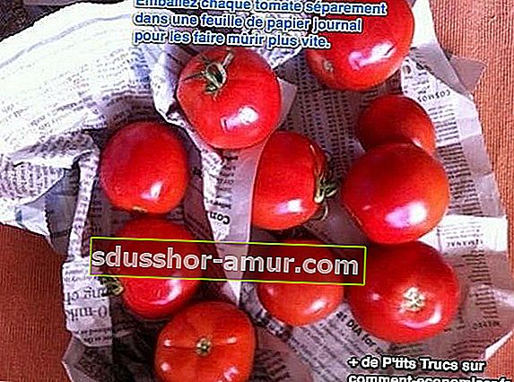 Zamotajte rajčice u novine kako bi brže sazrijele