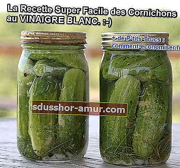preprost recept za pripravo domačih kumaric