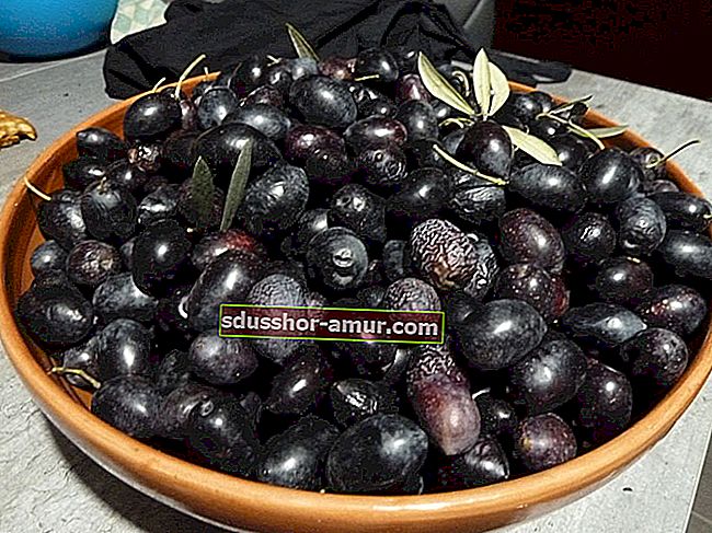 Как хранить зеленые или черные оливки?