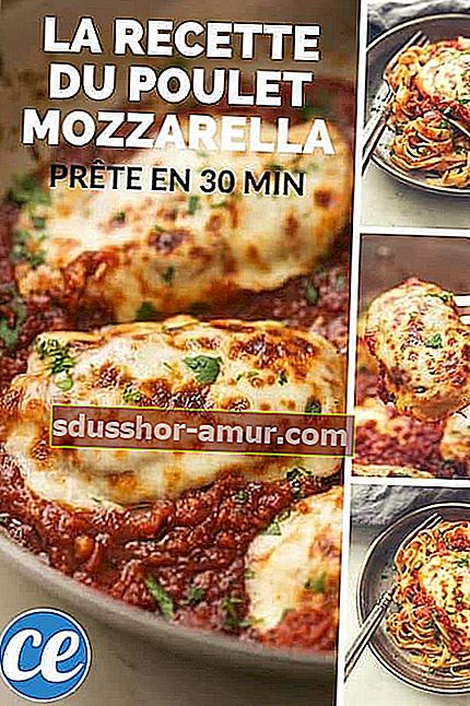 rețetă ușoară și ieftină pentru pui cu mozzarella și sos de roșii