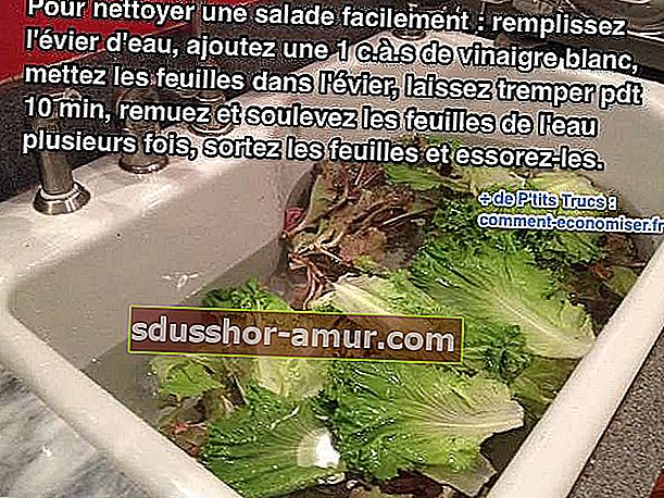 Kako lako oprati salatu
