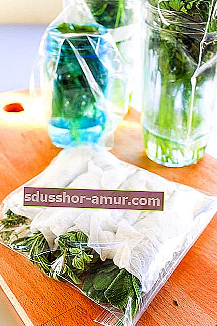 Aromatična zelišča, zvita v papirnato brisačo, pakirana v vrečke za zamrzovanje z zadrgo.