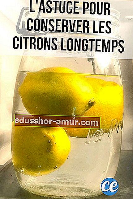 Tri žuta limuna u staklenci napunjenoj vodom u hladnjaku kako bi ih dugo zadržali