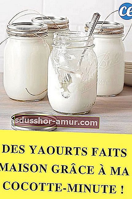 jednostavan recept za domaći jogurt s kuhalom pod pritiskom
