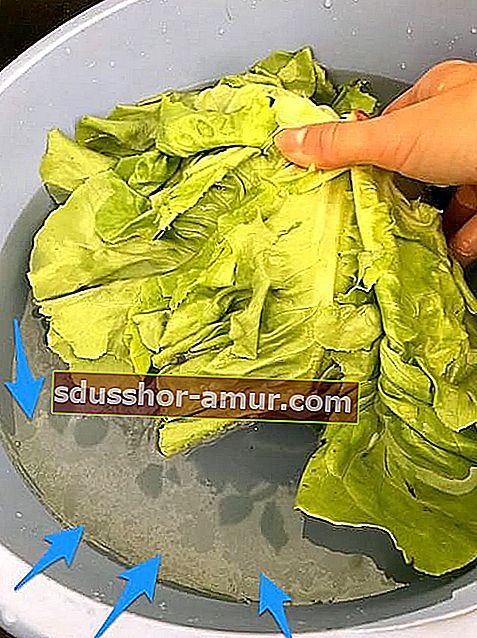 защо трябва да миете зелена салата