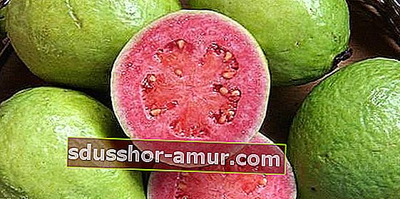 Jedite guavu kako biste pomogli u mršavljenju