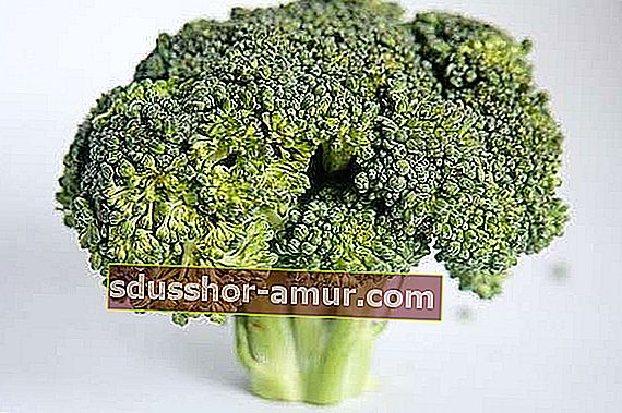 Jeste li znali da vam jedenje brokule može pomoći u gubitku kilograma?