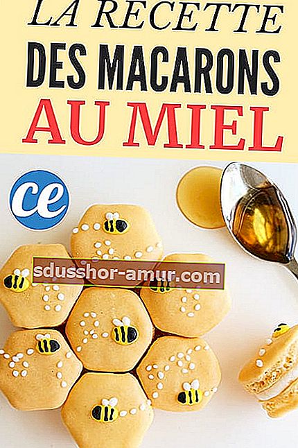 Ukusan recept za domaće makarone od meda.  Lako i brzo!