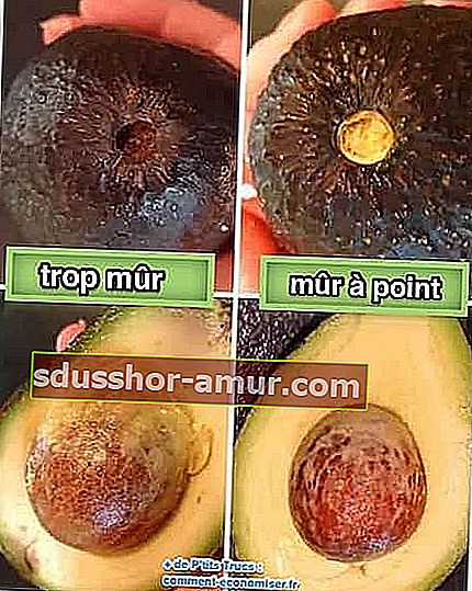 peduncul de avocado copt
