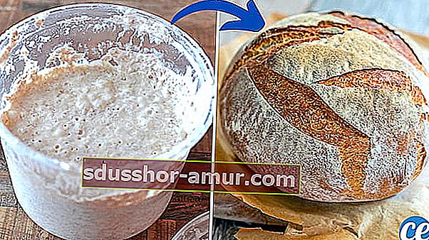 Kako od domaćeg kvasca napraviti kruh