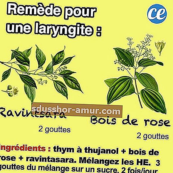 recept za lijek s esencijalnim uljima za liječenje laringitisa