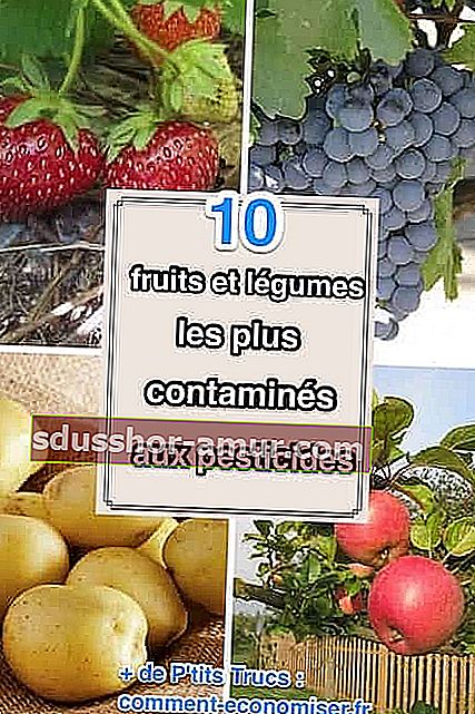 списък на 10-те най-замърсени плодове и зеленчуци