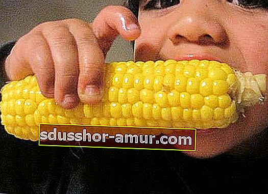 opasnost po zdravlje kukuruza