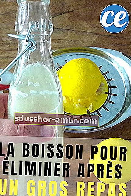 Limonin napitek za izgubo maščobe po velikem obroku