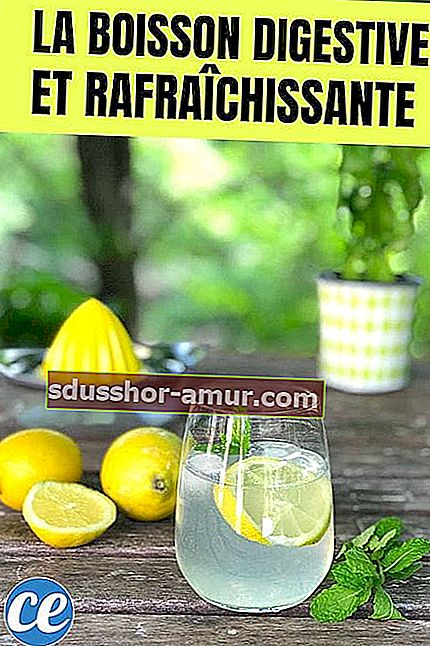 Osvježavajući napitak od limunova soka sa svježom mentom za bolju probavu