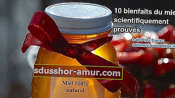 Що говорять дослідження про переваги меду?