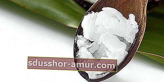 Je kokosovo olje koristno za boj proti afti?